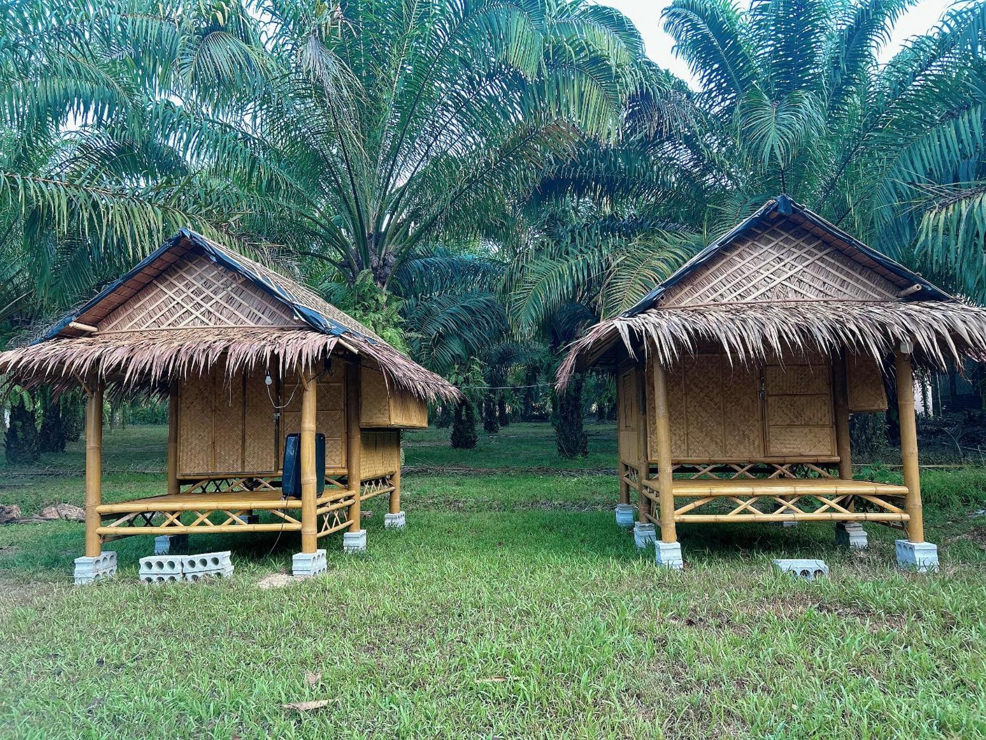 Khaosok August Freedom Camp Hotel Khao Sok National Park ภายนอก รูปภาพ