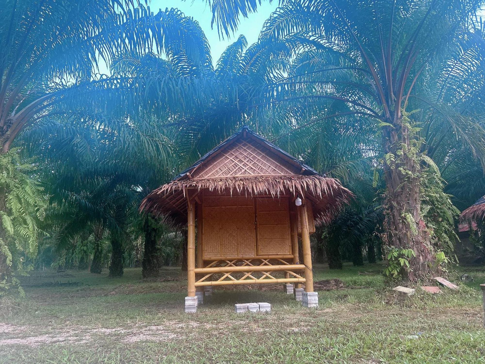 Khaosok August Freedom Camp Hotel Khao Sok National Park ภายนอก รูปภาพ