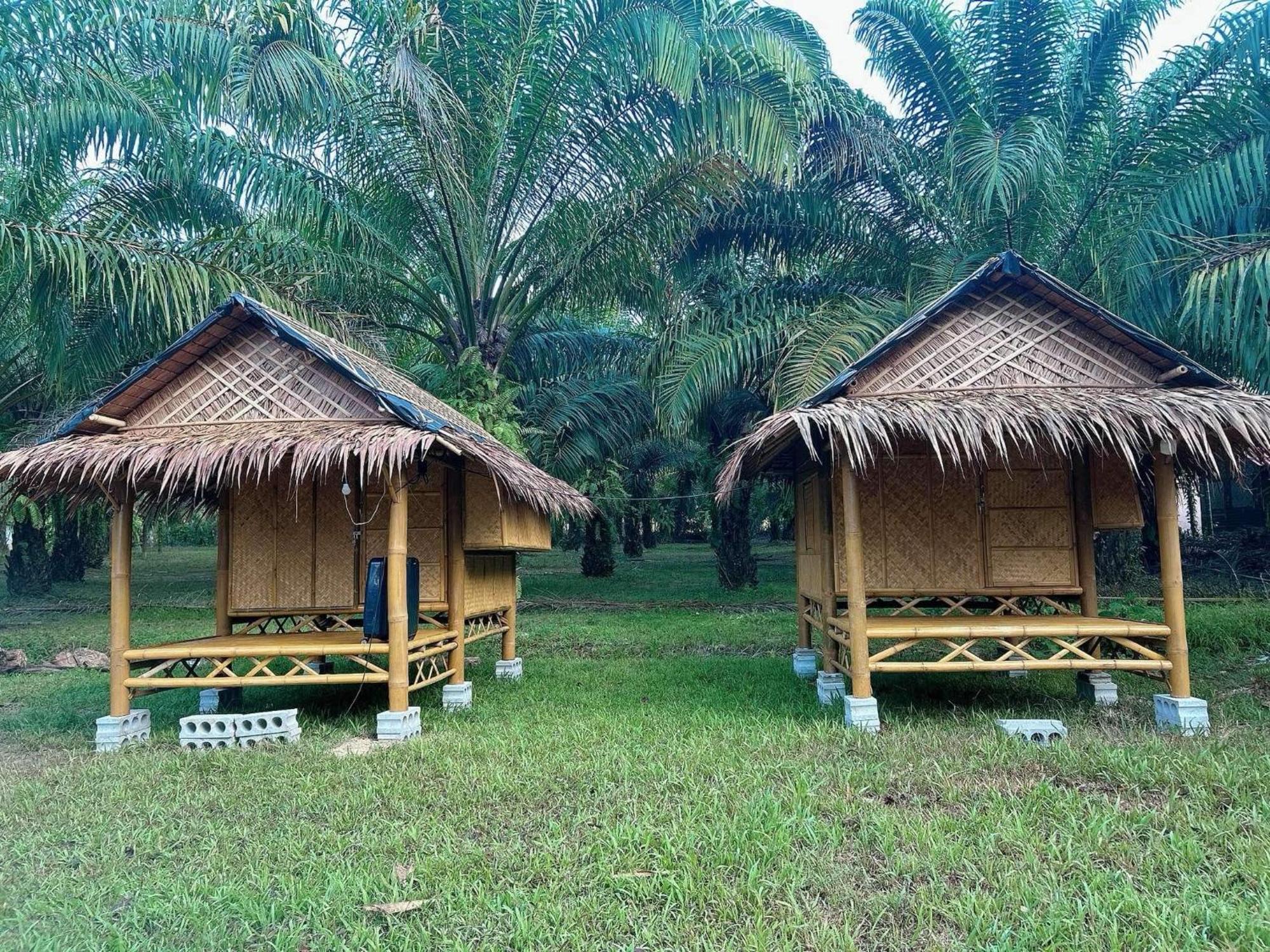 Khaosok August Freedom Camp Hotel Khao Sok National Park ภายนอก รูปภาพ